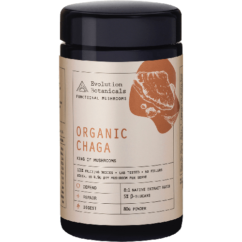 EVOLUTION BOTANICALS Organic Chaga King of Mushrooms 80g