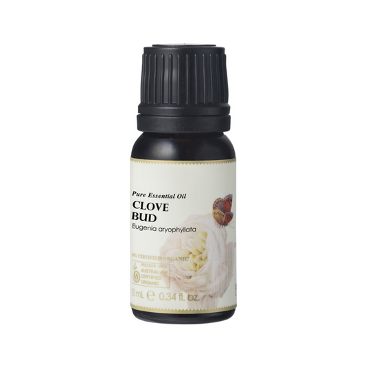 Ausganica Organic Essential Oil Clove Bud 10ml