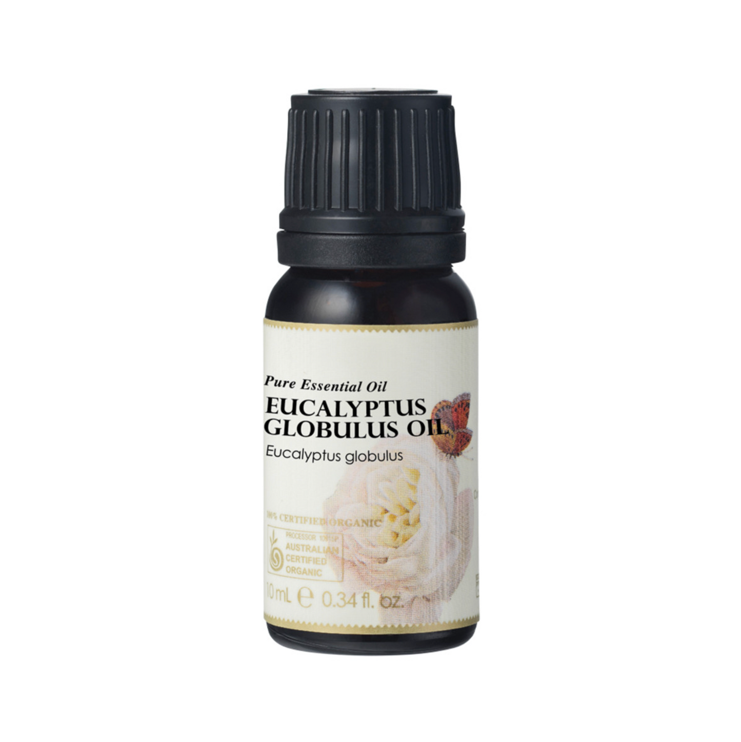 Ausganica Organic Essential Oil Eucalyptus Globulus 10ml