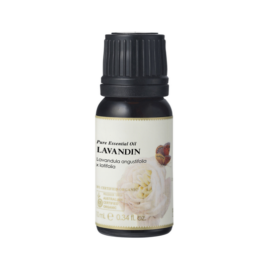 Ausganica Organic Essential Oil Lavandin 10ml